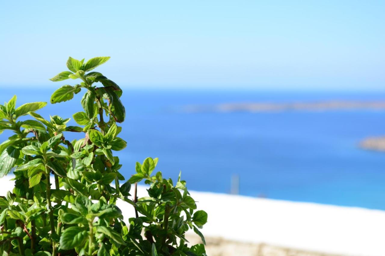 Anemolia Villa Lakki  Extérieur photo